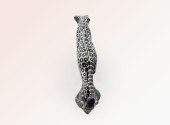 Climbing African leopard on sale